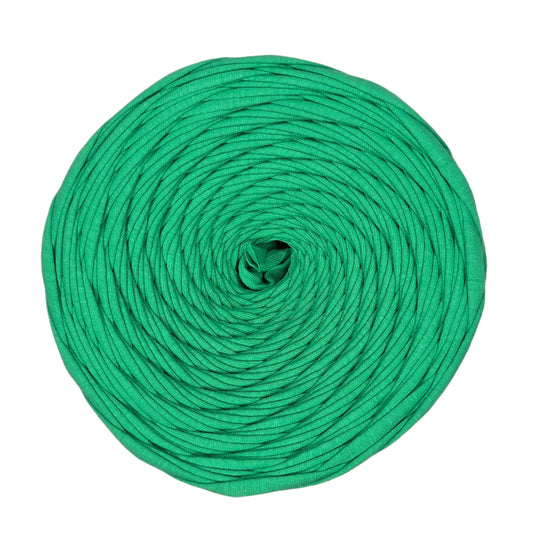 premium cotton t shirt yarn in green colour